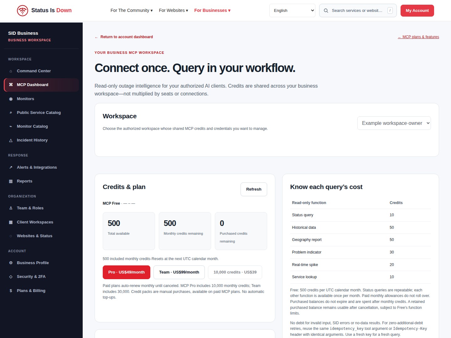 The SID MCP dashboard with business navigation, workspace controls and a free-plan credit summary, shown using an example workspace without live credentials.